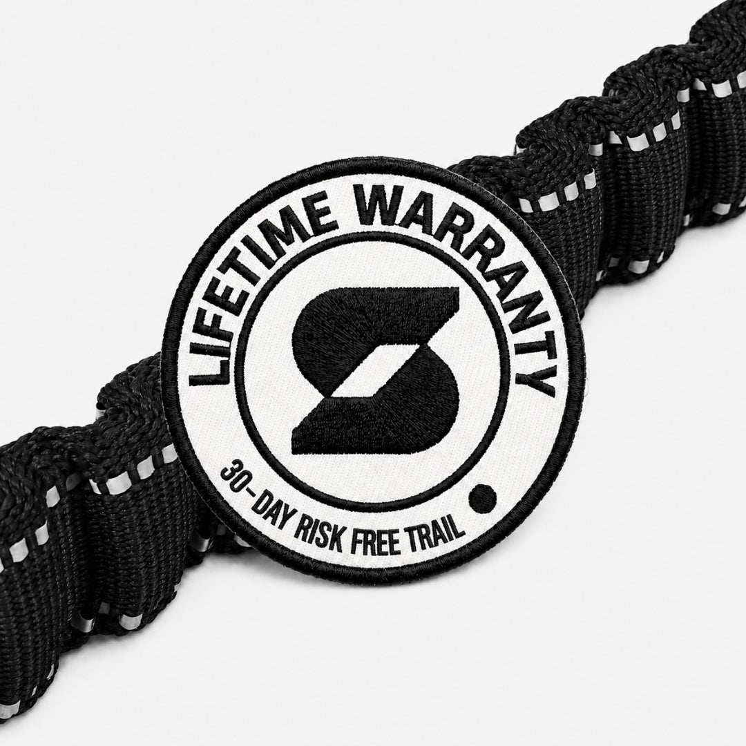Bungee Dog Leash