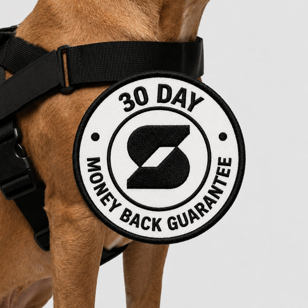 No-Pull Dog Harness