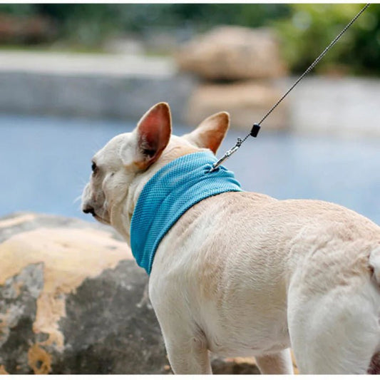 Cooling Dog Bandana – Instant Cooling Comfort