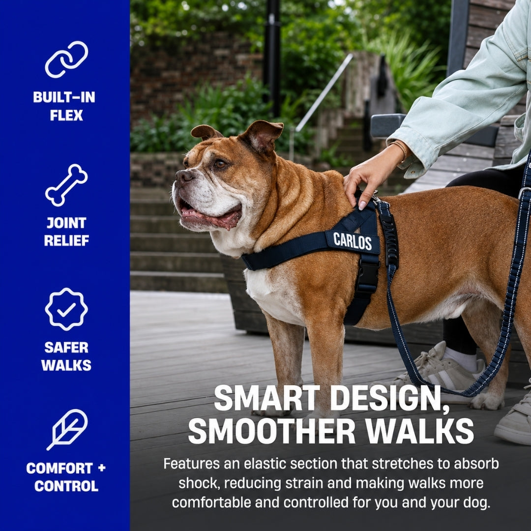 Bungee Dog Leash