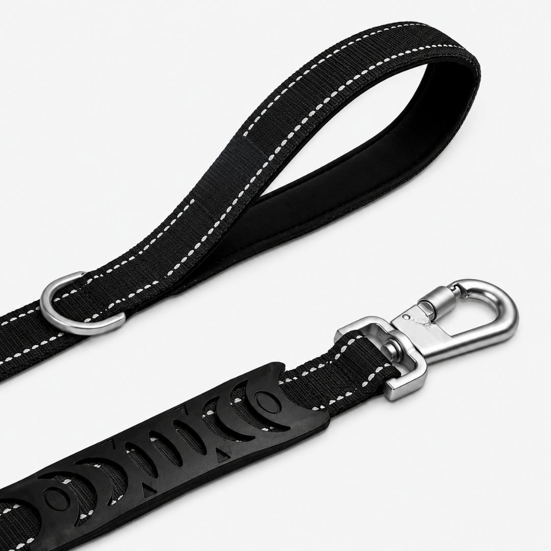 Bungee Dog Leash