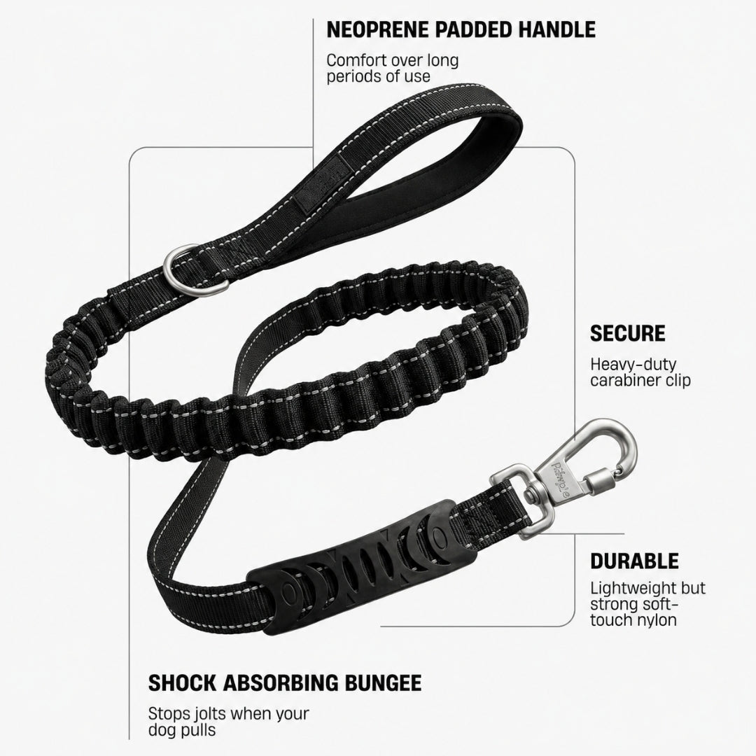 Bungee Dog Leash