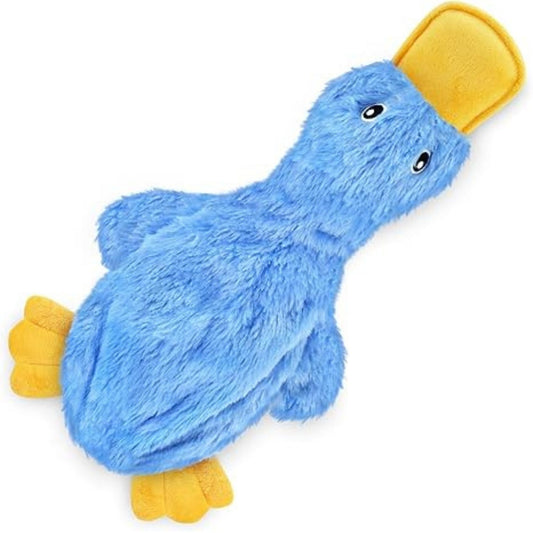 Squeaky Dog Chew Toy
