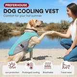 Cooling Dog Vest – Lightweight & Breathable