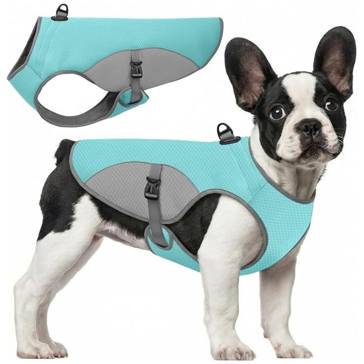 Cooling Dog Vest – Lightweight & Breathable