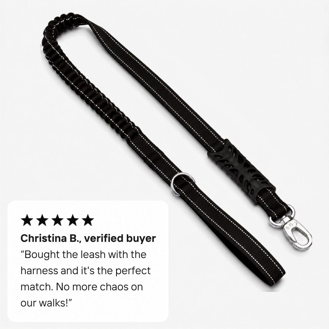 Bungee Dog Leash