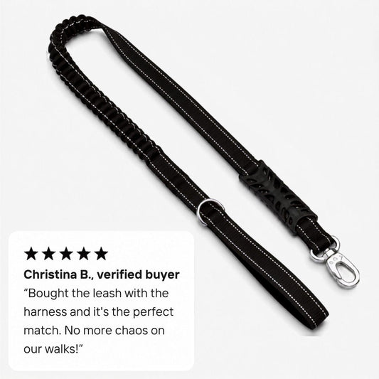 Bungee Dog Leash